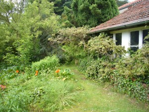 Charmantes Ferienhaus im verwunschenen Garten
bei Spandau