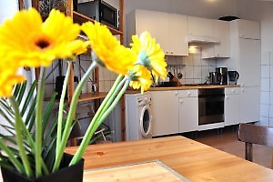 3. built-in kitchen, washing machine, 	microwave oven...