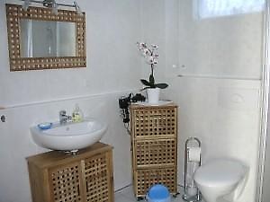 Bathroom with towel heater, sink, mirror, hairdryer, toilet, shower and small furniture