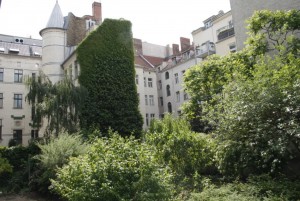 view to the yard from the balcony 